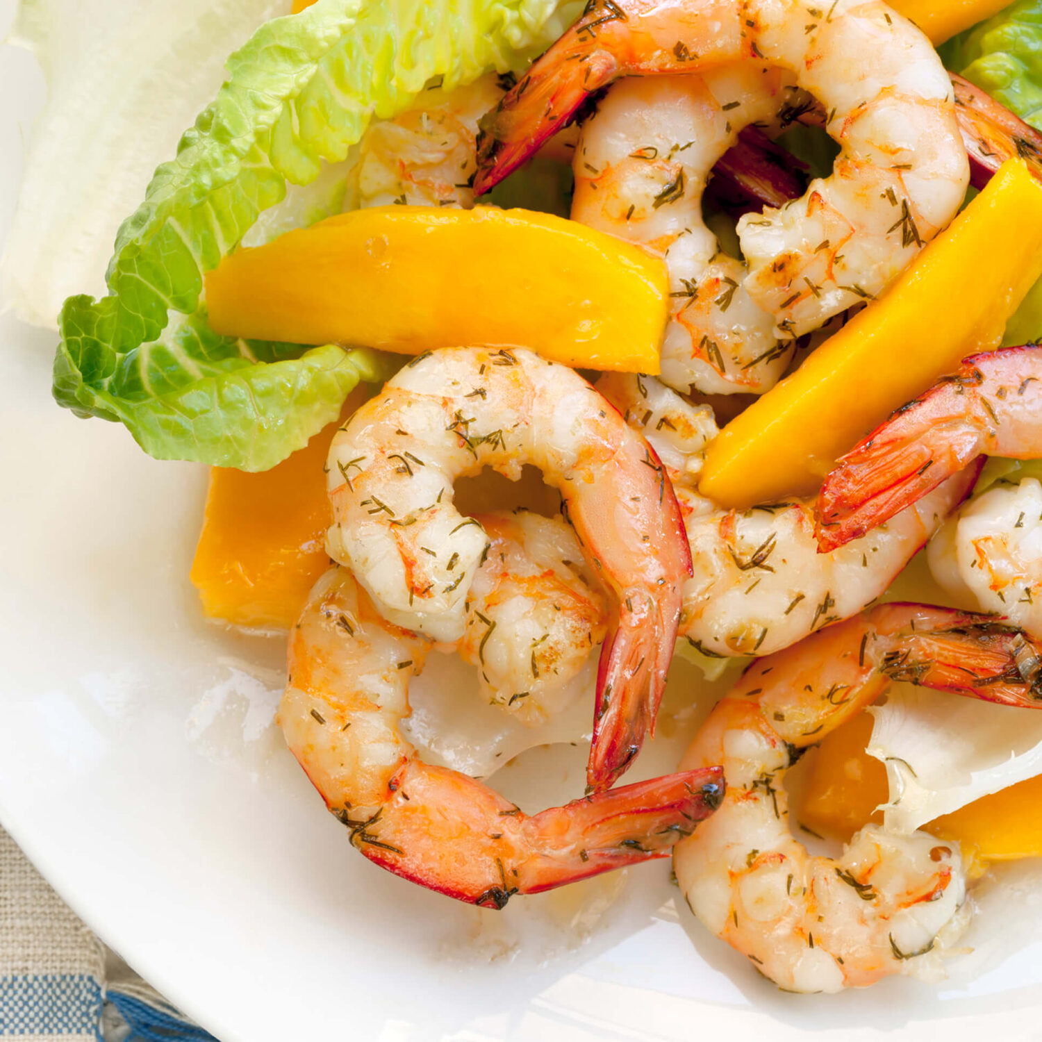 crevettes grillées mangue et salade dans assiette blanche