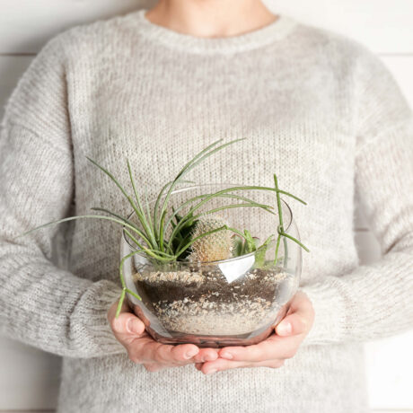 femme qui tient un terrarium