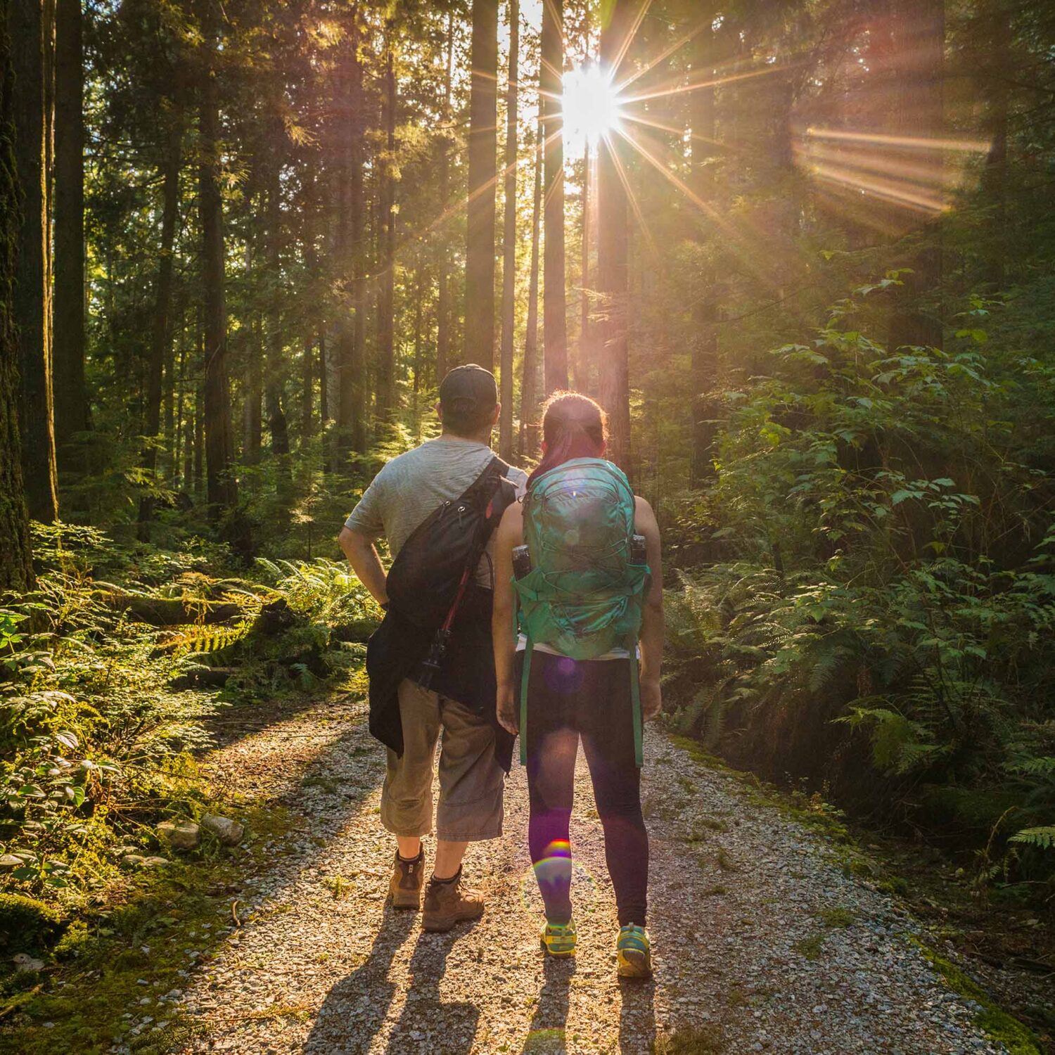 couple en randonnée dans la forêt