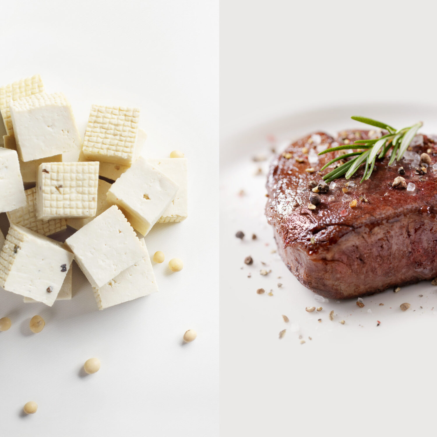 tofu vs steack