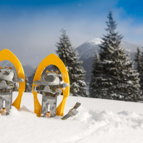 Cet hiver on bouge dehors