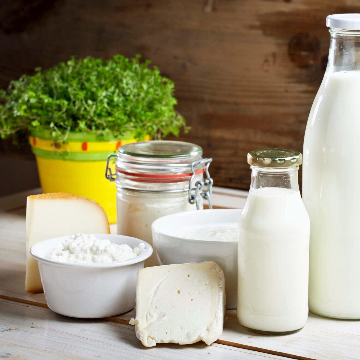 produits laitiers sous différentes formes