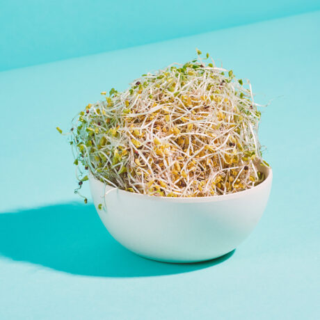 Pourquoi manger des germes et des pousses?
