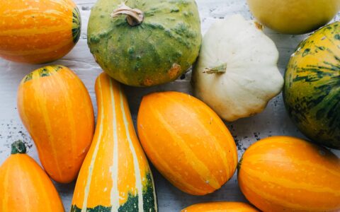 C’est la saison des courges!