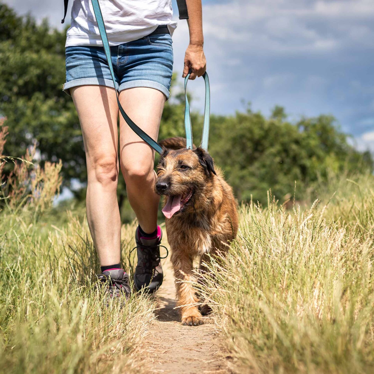 Votre chien: le meilleur ami pour bouger!