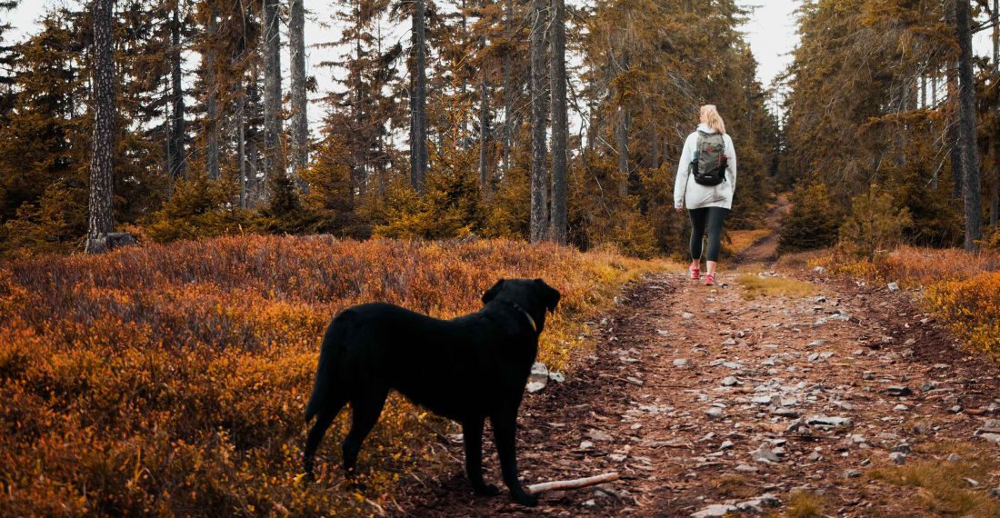 5 conseils pour lutter contre la déprime hivernale