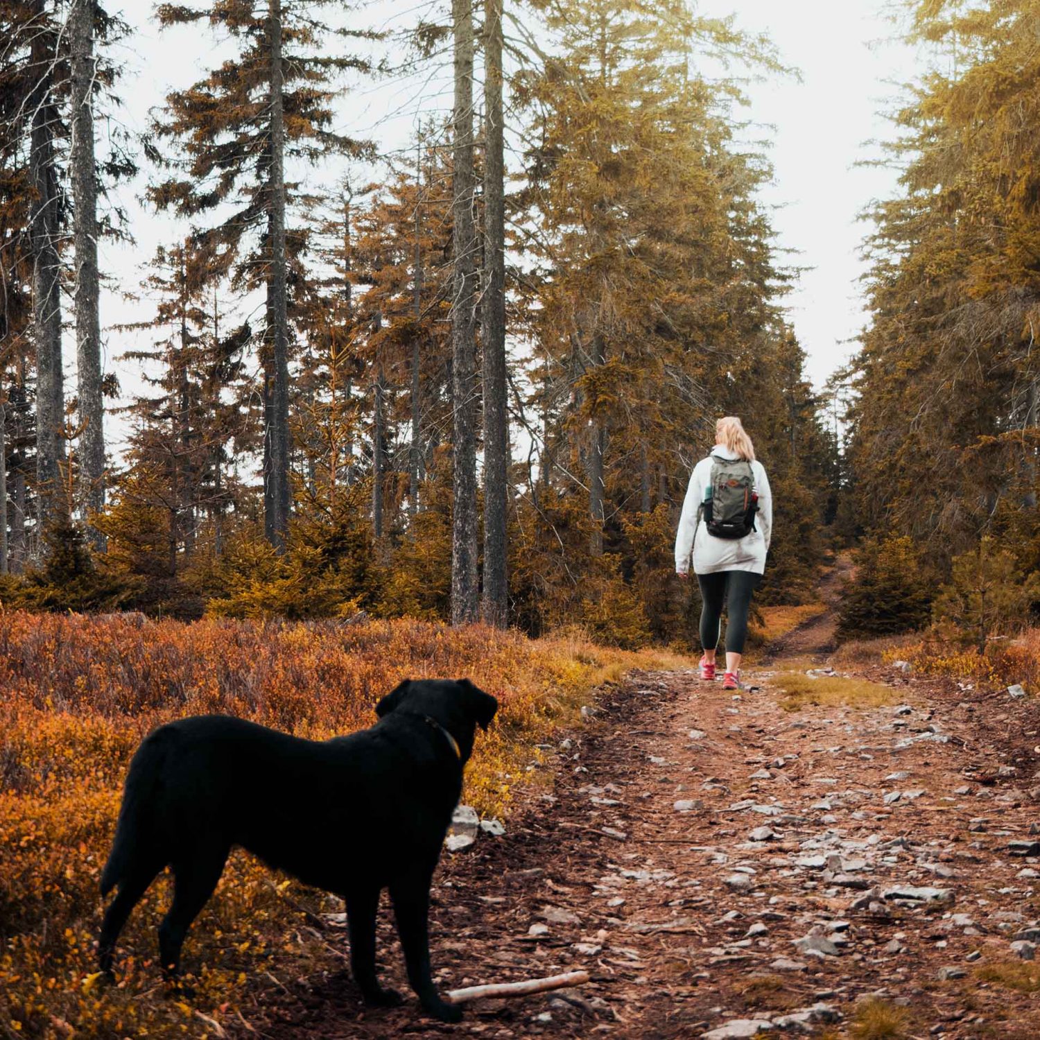 5 conseils pour lutter contre la déprime hivernale