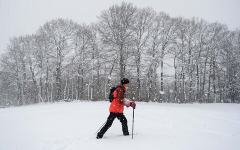 La marche nordique, un exercice complet