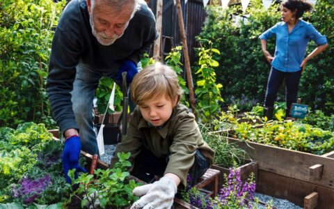 Jardiner, une action climatique et… rassembleuse!