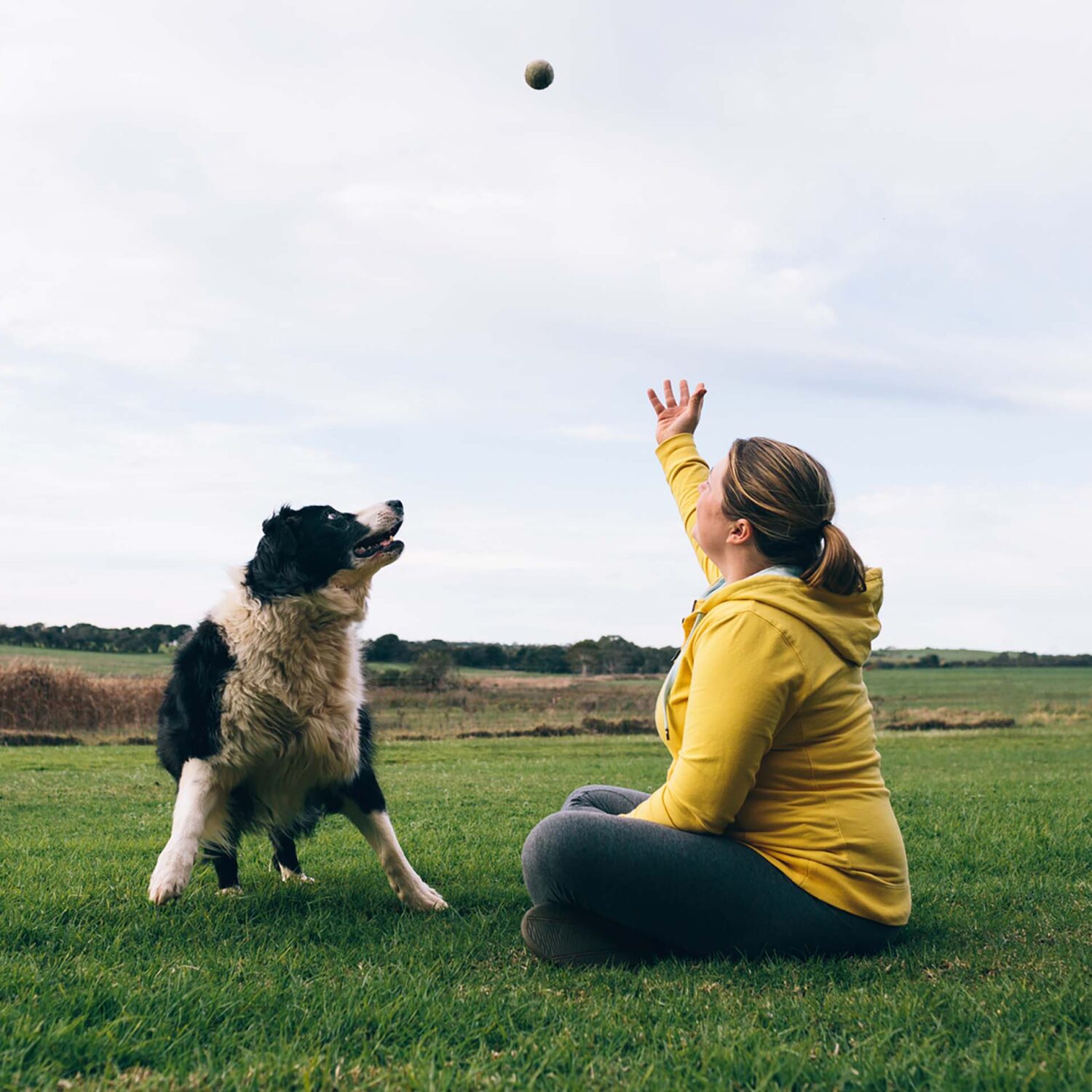 Les chiens sont bons pour la santé!