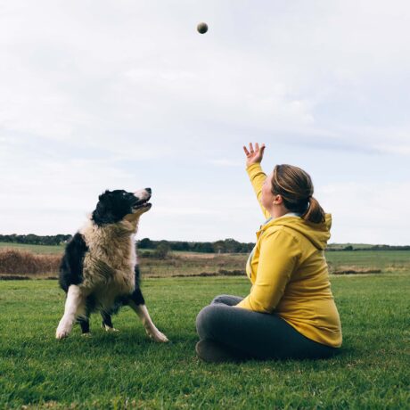 Les chiens sont bons pour la santé!