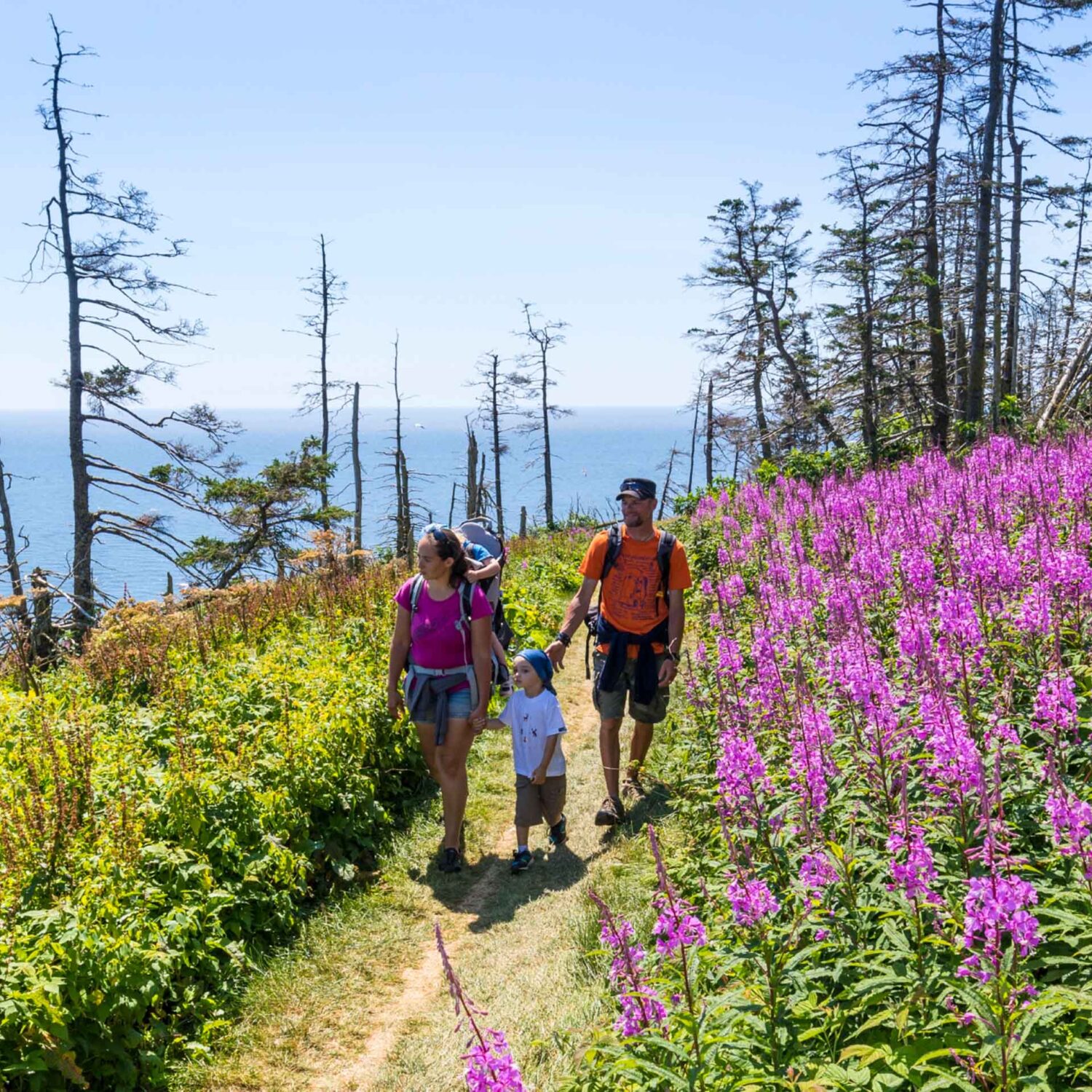 La nature: une expérience pour tous les sens!