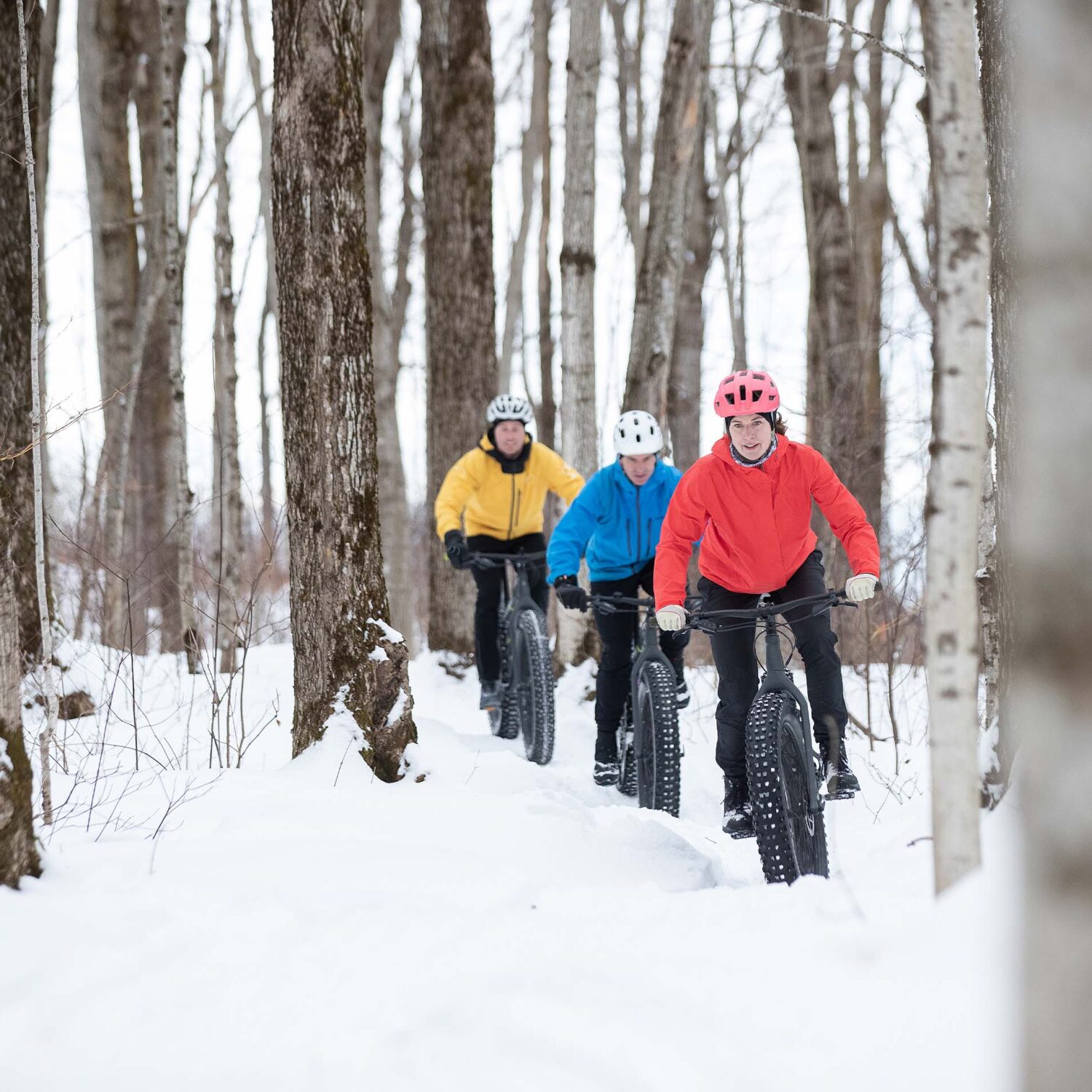 J’ai testé le vélo à pneus surdimensionnés (fatbike)
