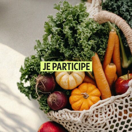 IGA-concours-novembre-24_article
